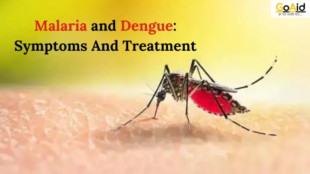 Malaria and Dengue: Symptoms And Treatment