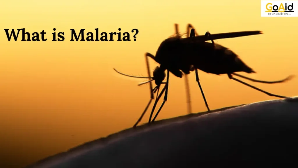 what is Malaria