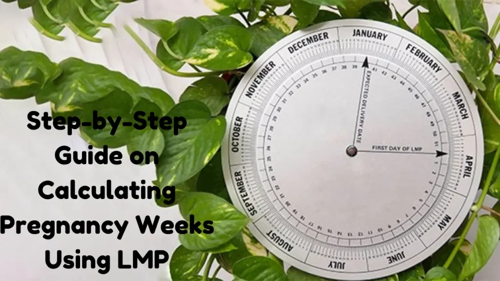 Step-by-Step Guide on Calculating Pregnancy Weeks Using LMP