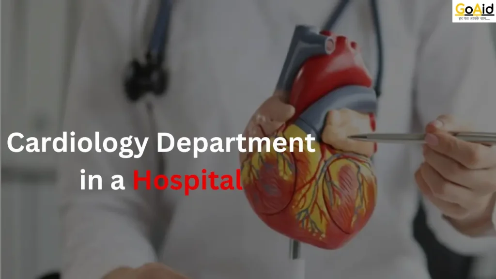 Complete Guide to the Cardiology Department in Hospitals | Roles, Types, Diseases Treated & Doctors