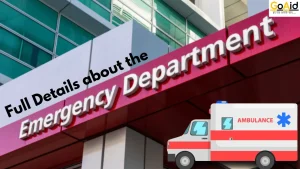 Full Details about the Emergency Department