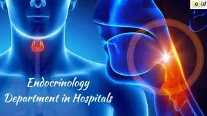 Endocrinology Department in Hospitals