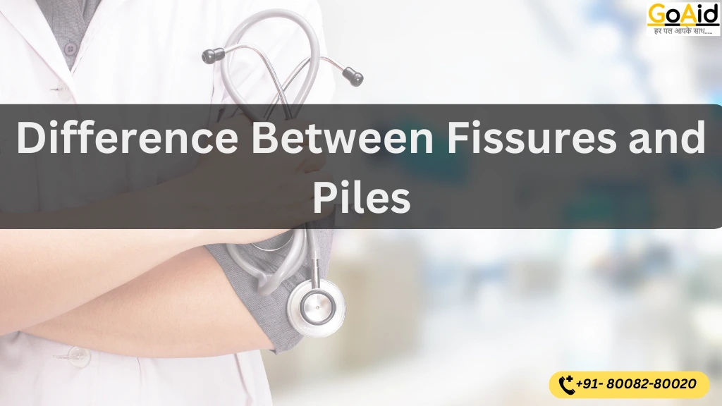 Difference between fissures and piles